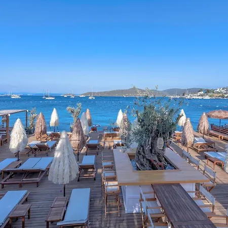 Hotel Borsa Rooms & Villas